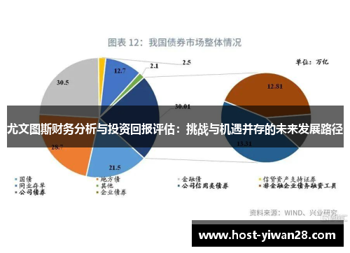 尤文图斯财务分析与投资回报评估:挑战与机遇并存的未来发展路径 尤文图斯财务分析与投资回报评估:挑战与机遇并存的未来发展路径