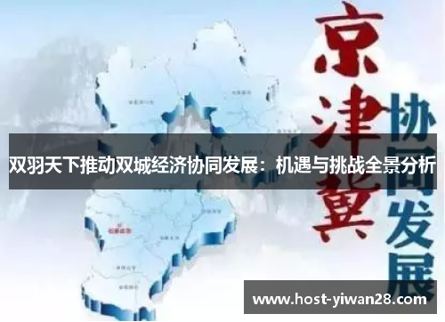 双羽天下推动双城经济协同发展：机遇与挑战全景分析