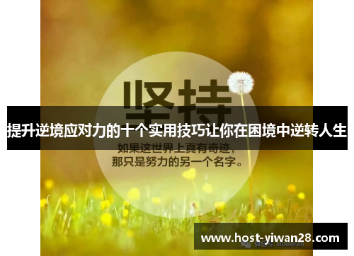 提升逆境应对力的十个实用技巧让你在困境中逆转人生 提升逆境应对力的十个实用技巧让你在困境中逆转人生