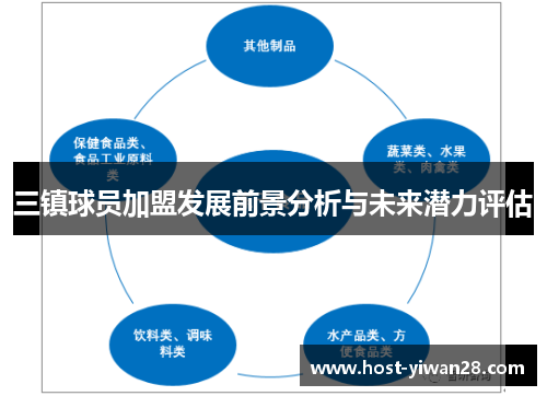三镇球员加盟发展前景分析与未来潜力评估