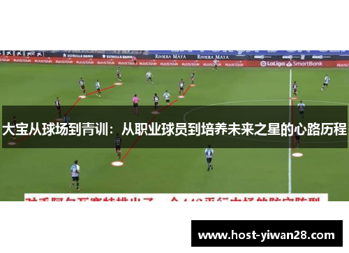 大宝从球场到青训:从职业球员到培养未来之星的心路历程 大宝从球场到青训:从职业球员到培养未来之星的心路历程