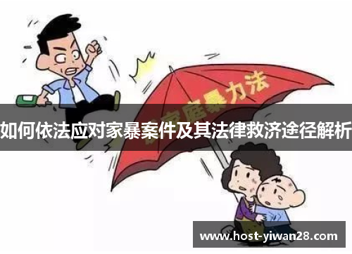 如何依法应对家暴案件及其法律救济途径解析 如何依法应对家暴案件及其法律救济途径解析