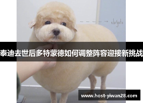 泰迪去世后多特蒙德如何调整阵容迎接新挑战 泰迪去世后多特蒙德如何调整阵容迎接新挑战